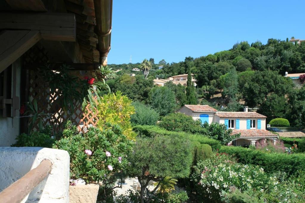 Coquet Dans Mazet Ste Maxime Riviera Sainte-Maxime