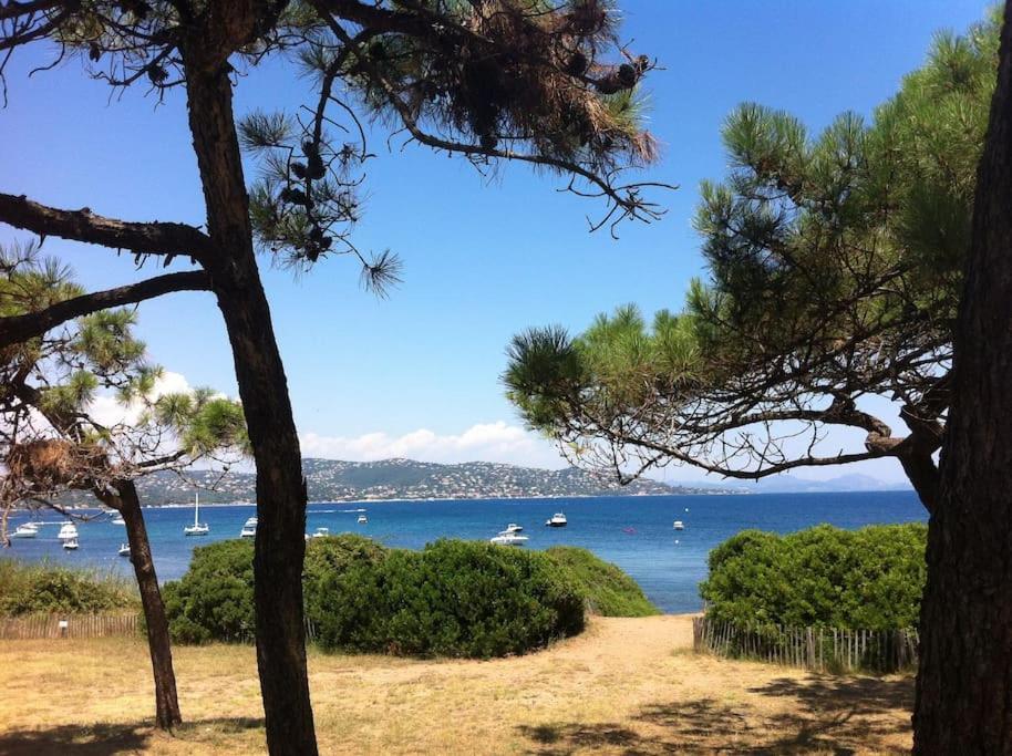 Coquet Dans Mazet Ste Maxime Sainte-Maxime