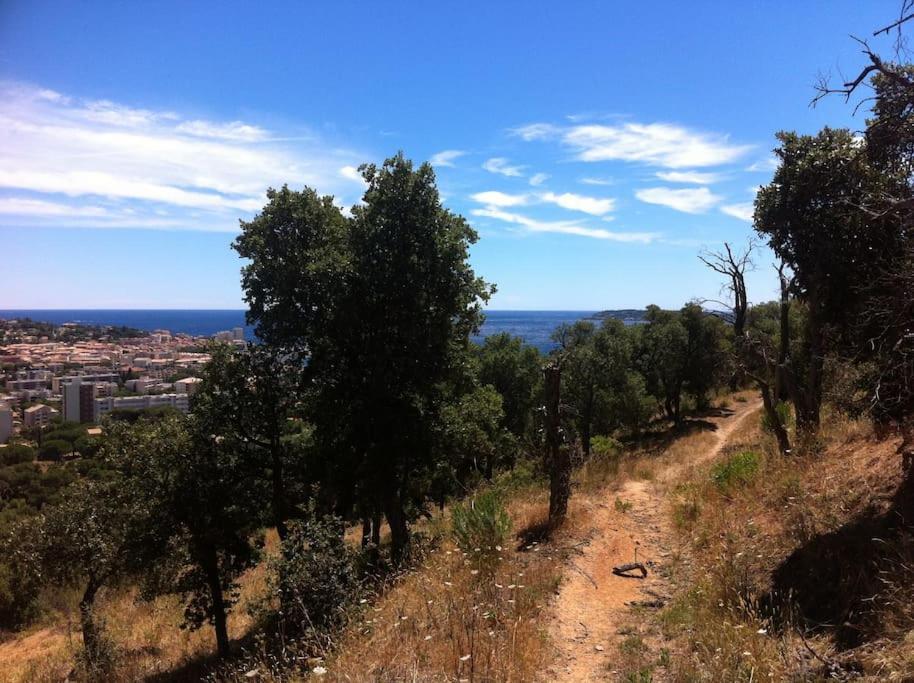 Coquet Dans Mazet Ste Maxime Appartement Sainte-Maxime